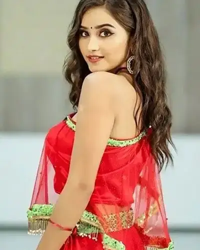 Call Girls Service Piploda